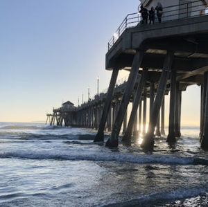 Meet your Posher, Grace